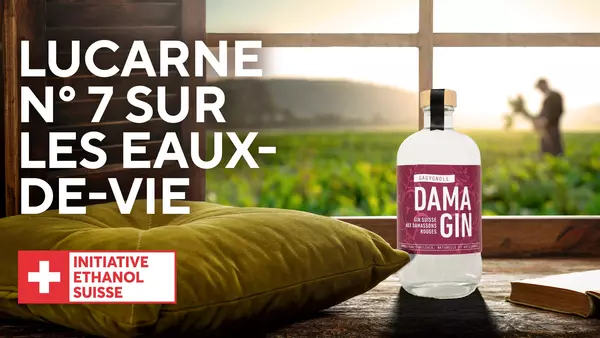 Lucarne sur les Eaux-de-vie Dama Gin