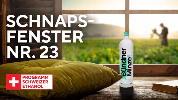 Bündner Minze